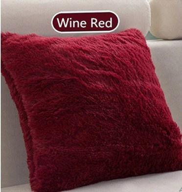 Plush Decorative Throw Pillow Cover - Pretty Little Wish.com