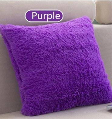 Plush Decorative Throw Pillow Cover - Pretty Little Wish.com