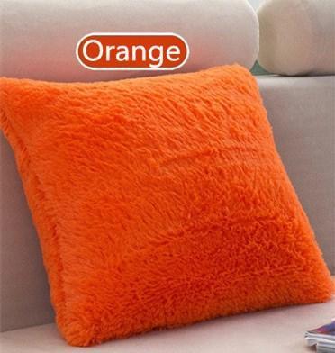 Plush Decorative Throw Pillow Cover - Pretty Little Wish.com