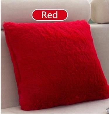 Plush Decorative Throw Pillow Cover - Pretty Little Wish.com
