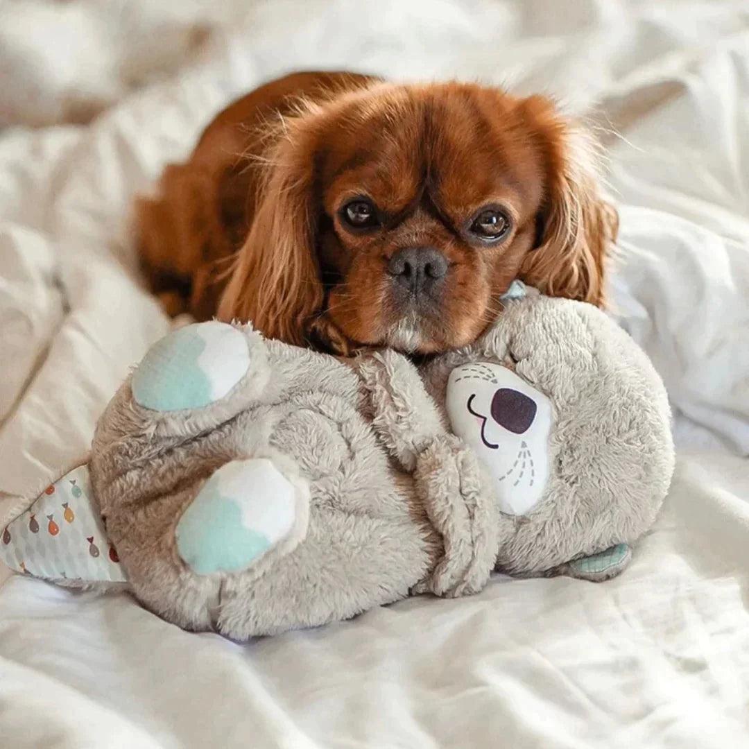 Serenity Snuggle Otter Pal - Pretty Little Wish.com