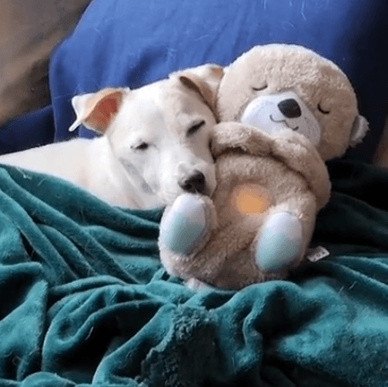 Serenity Snuggle Otter Pal - Pretty Little Wish.com