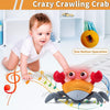 Load image into Gallery viewer, Cute Sensing Crawling Crab Helps with Tummy Time - Pretty Little Wish.com