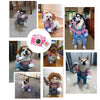 Load image into Gallery viewer, Halloween Costume for Pets - Pretty Little Wish.com