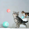Smart Cat Interactive Ball Toys - Pretty Little Wish.com