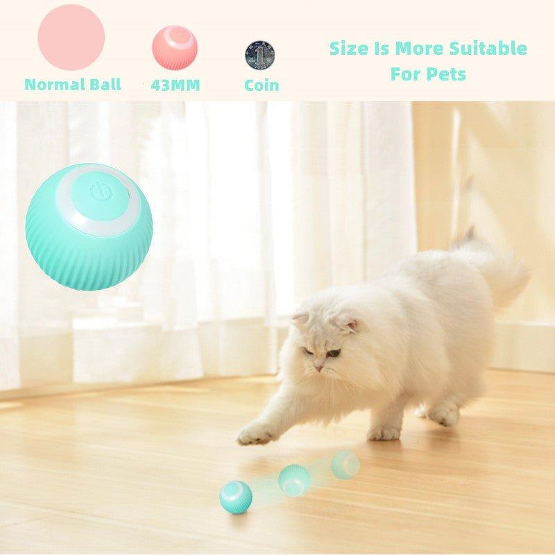 Smart Cat Interactive Ball Toys - Pretty Little Wish.com