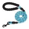 Strong Dog Leash - Different Sizes - Pretty Little Wish.com